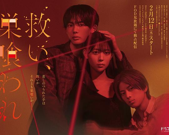 《看护解放西第三季》综艺高清完整版