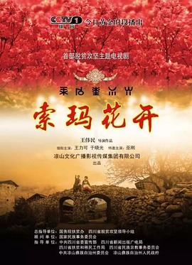 《无耻之徒(美版) 第四季》电视剧高清全集