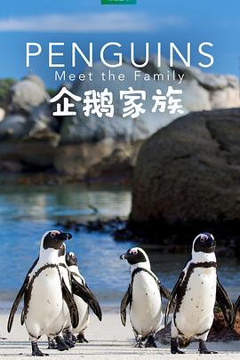 《锁战粤语》电影高清完整版