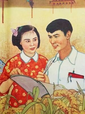 《患病的小狗》电影高清完整版