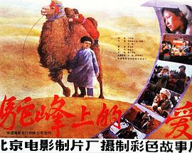 《壮志夺镖》电影高清完整版
