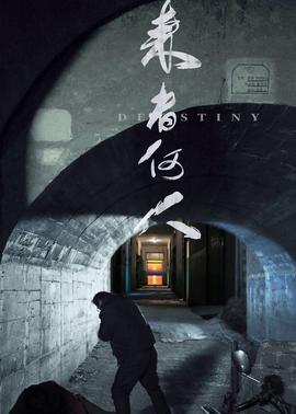 《皇城神鹰》电视剧高清全集