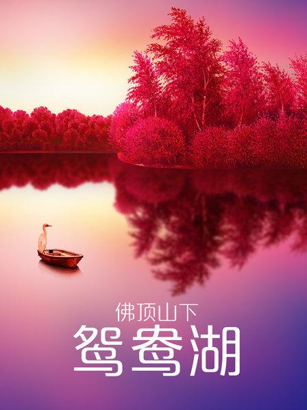 《缘来是游戏》电影高清完整版