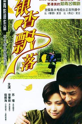 《寻觅倾城韶光》电视剧高清全集