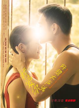 《怪医杜立德》电影高清完整版