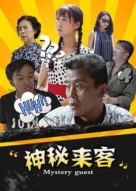 《怪盗山猫》电视剧高清全集