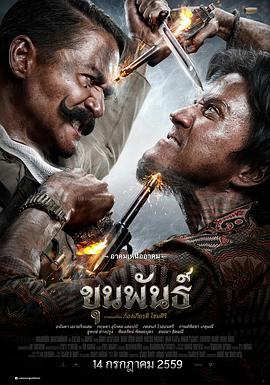 《纯情房东俏房客》动漫高清全集