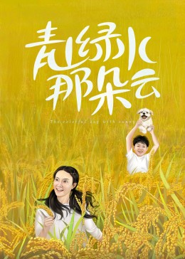 《假面骑士ZO》动漫高清全集