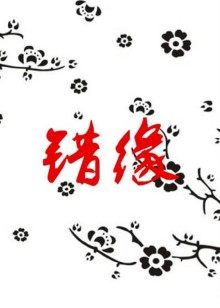 《机械之声的传奇 第四季》动漫高清全集