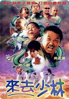 《布朗克斯的故事(剧情说明）》电影高清完整版