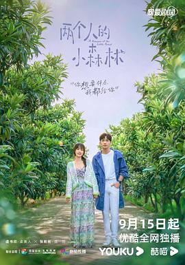 《皇家棕榈第二季》电视剧高清全集