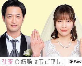 《飞翔的隐秘》电影高清完整版