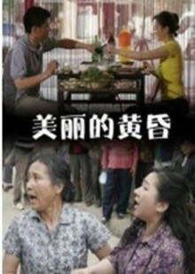 《德累斯顿太阳报》电影高清完整版