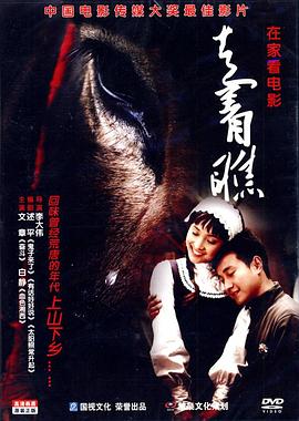 《你迟到的许多年》电视剧高清全集