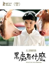 《在漆黑中叙述的恐惧故事》电影高清完整版