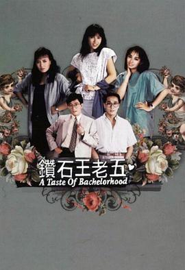 《完美叛侣粤语》电视剧高清全集