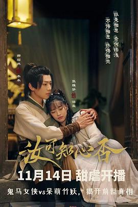 《夺帅》电影高清完整版
