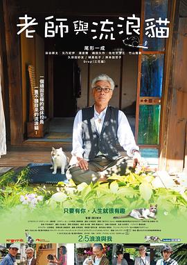 《恋爱中的城市》电影高清完整版