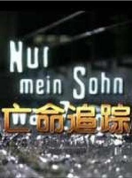 《恶搞之家第十三季》动漫高清全集