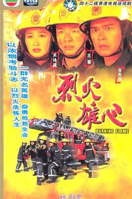 《他似火》电视剧高清全集