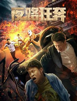 《盲点第五季》电视剧高清全集