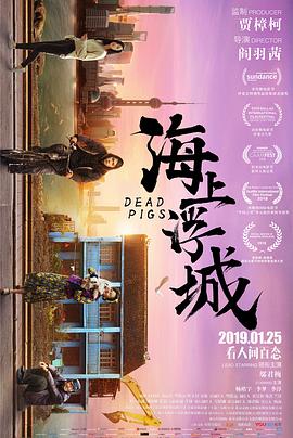 《风险替身》电视剧高清全集