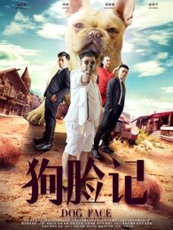 《英豪祭》电视剧高清全集