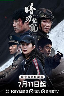 《二重赋格》电视剧高清全集