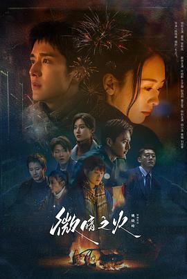 《杀手十三第二季》电视剧高清全集