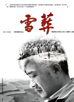 《萤火虫之墓》动漫高清全集