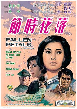 《强制窃贼 Steal》电视剧高清全集