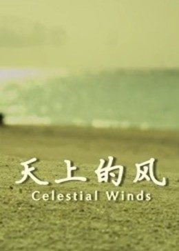 《变脸迷情》电影高清完整版