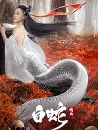 《飞出个未来第三季》动漫高清全集