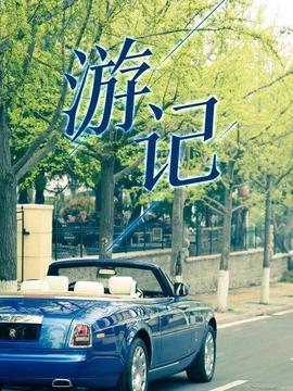 《哈比王传奇》电影高清完整版