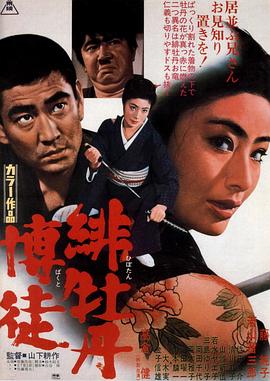 《全金属狂潮第三季》动漫高清全集