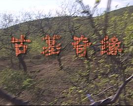 《我本是顶峰》电视剧高清全集