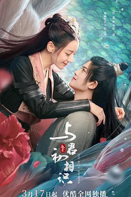 《失望主妇第六季》电视剧高清全集