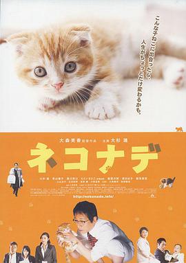 《四十危机》电影高清完整版