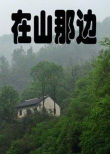 《完美伴侣》电视剧高清全集