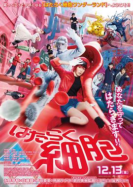 《最佳导演》电影高清完整版