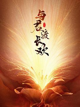 《大玩家【影视说明】》电影高清完整版