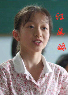 《法官大人第二季》电视剧高清全集