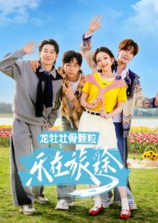 《迷雾追寻》电视剧高清全集