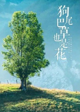 《想飞粤语》电影高清完整版