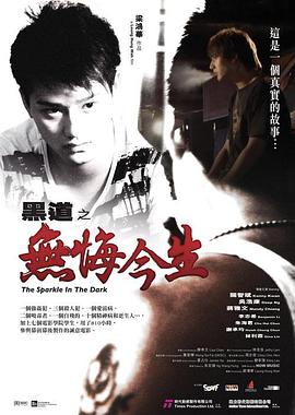 《正义回廊【影视说明】》电影高清完整版