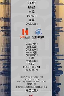 《我挑选了不成婚》电视剧高清全集