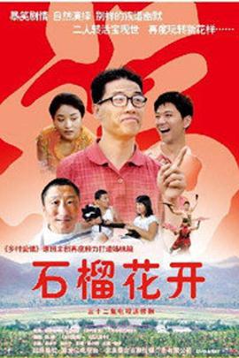《朝雪录》电视剧高清全集