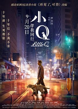 《小旋风柴进之簪花请命》电影高清完整版