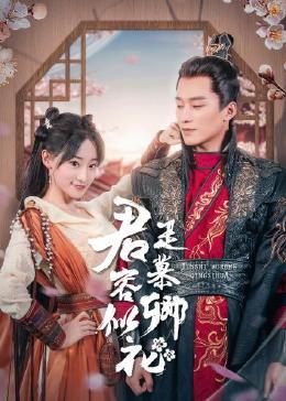 《火力少年王4》电视剧高清全集