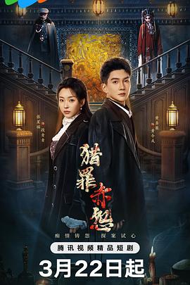 《魔法俏佳人第二季》电视剧高清全集